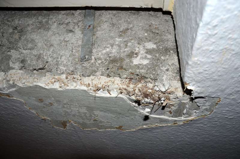 BAU.DE / BAU-Forum: 2. Bild zu Frage "Wandplatten aus Holz-Mineralstoffmischung aus den sechziger Jahre identifizieren" im BAU-Forum "Innenwände"