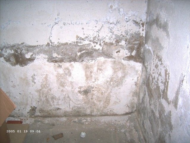 BAU.DE / BAU-Forum: 1. Bild zu Antwort "Bild..." auf die Frage "Putzsanierung im Heizraum: Ursachen, Vorgehen & Kosten f&uuml;r Zementputz?" im BAU-Forum "Keller"