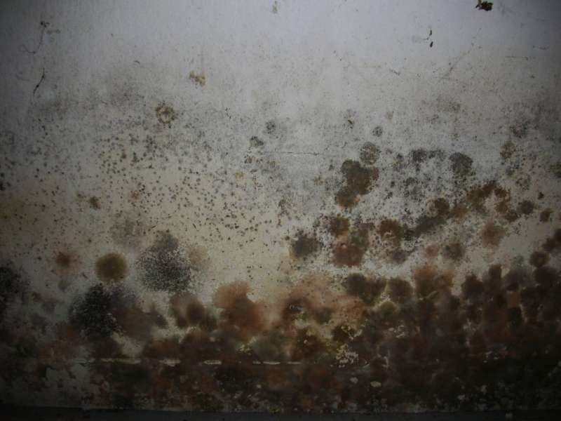 BAU.DE / BAU-Forum: 2. Bild zu Frage "Wasserortung ist das m&ouml;glich (NRW)" im BAU-Forum "Keller"