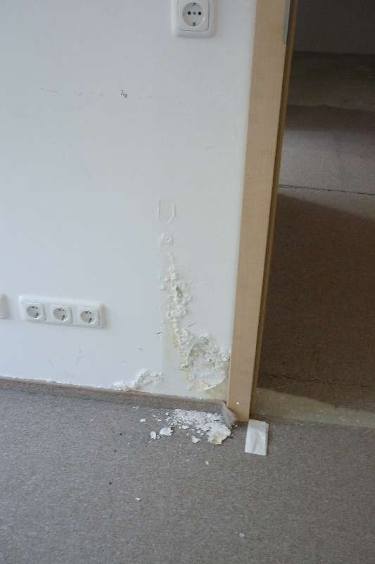 BAU.DE / BAU-Forum: 2. Bild zu Antwort "Bilder" auf die Frage "Schimmel im Keller Fertighaus: Ursachen, Risiken & Sanierungskosten?" im BAU-Forum "Keller"