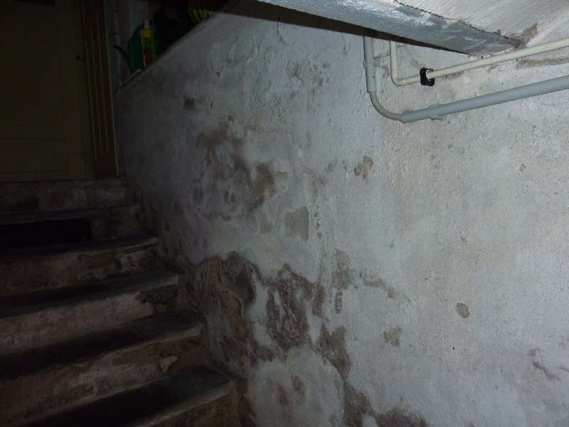 BAU.DE / BAU-Forum: 2. Bild zu Antwort "Danke f&uuml;r die rege Beteiligung," auf die Frage "Feuchten Keller im Sommer l&uuml;ften? Tipps zur Vermeidung von Kondenswasser & Schimmel" im BAU-Forum "Keller"