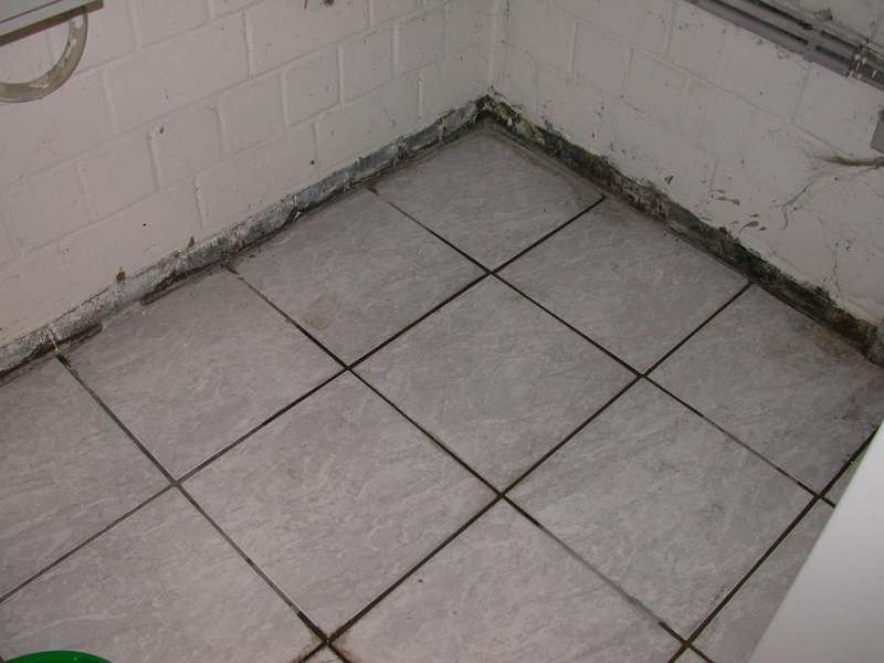 BAU.DE / BAU-Forum: 1. Bild zu Antwort "Bilder usw." auf die Frage "Wasser im Keller: Pragmatische unkonventionelle Lösung gesucht" im BAU-Forum "Keller" BAU.DE / BAU-Forum: 1. Bild zu Antwort "Bilder usw." auf die Frage "Wasser im Keller: Pragmatische unkonventionelle Lösung gesucht" im BAU-Forum "Keller"