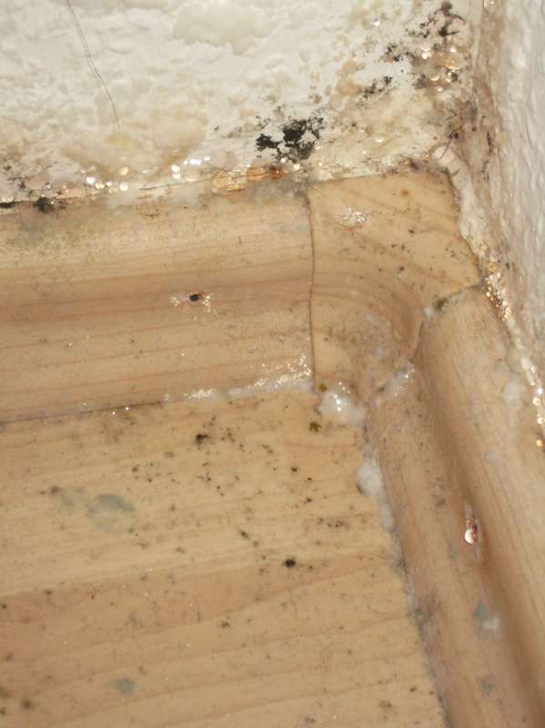 BAU.DE / BAU-Forum: 1. Bild zu Frage "Salzausbl&uuml;hungen in Souterrain durch zu wenig L&uuml;ften?" im BAU-Forum "Keller"