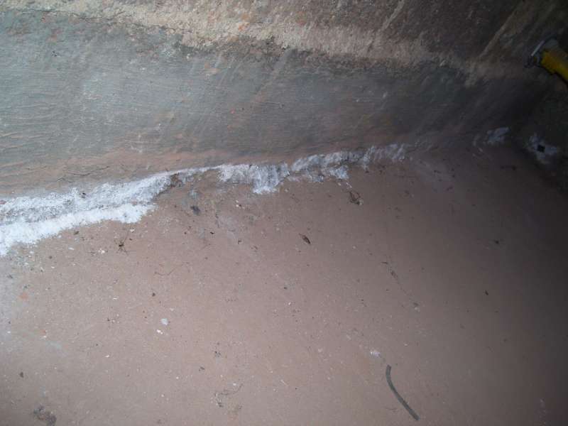 BAU.DE / BAU-Forum: 1. Bild zu Frage "Wei&szlig;er watte-artiger Belag im Kellerraum" im BAU-Forum "Keller"