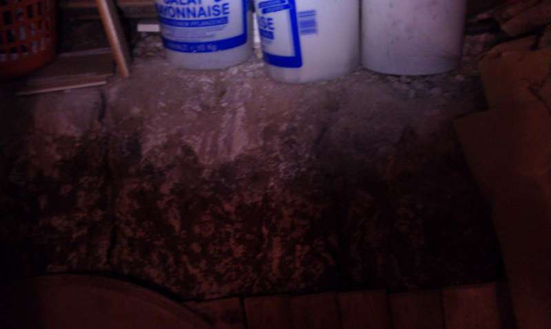 BAU.DE / BAU-Forum: 2. Bild zu Frage "Kellerraum gef&uuml;llt mit ca. 50 Tonnen Erde &nbsp;-&nbsp; kann man das so lassen?" im BAU-Forum "Keller"