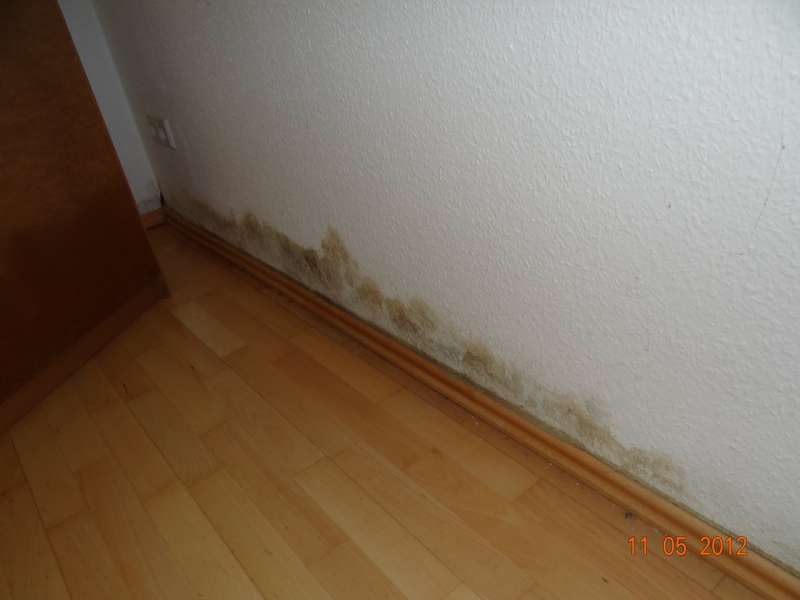 BAU.DE / BAU-Forum: 3. Bild zu Frage "Erhöhte Feuchtigkeit in EG-Wohnung ohne Keller mit WU-Bodenplatte" im BAU-Forum "Keller"