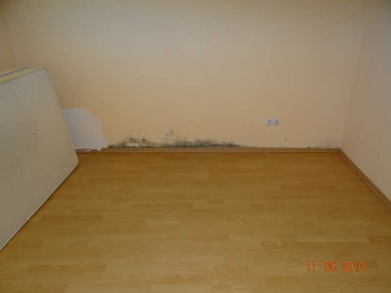 Bild zum BAU-Forumsbeitrag: Erhöhte Feuchtigkeit in EG-Wohnung ohne Keller mit WU-Bodenplatte im Forum Keller