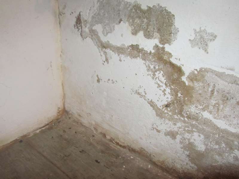 BAU.DE / BAU-Forum: 1. Bild zu Frage "Feuchte Kellerwände" im BAU-Forum "Keller" BAU.DE / BAU-Forum: 1. Bild zu Frage "Feuchte Kellerwände" im BAU-Forum "Keller"