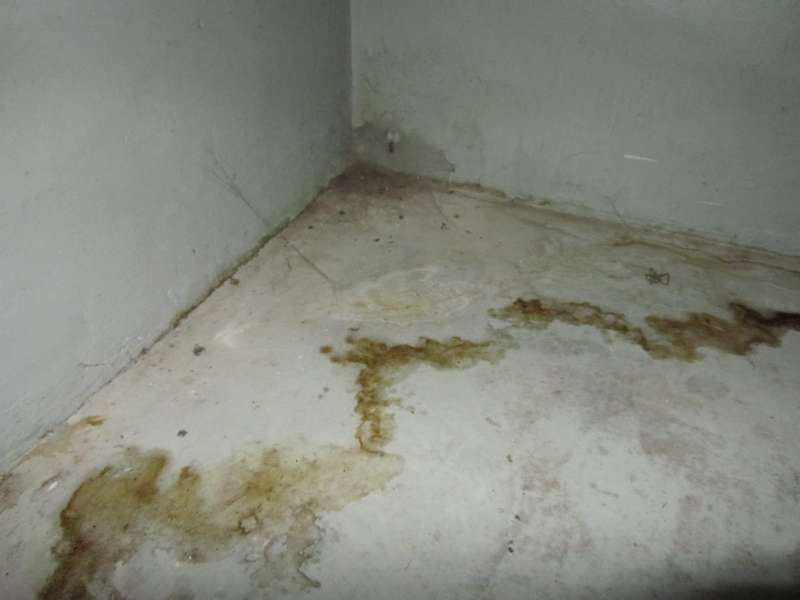 BAU.DE / BAU-Forum: 2. Bild zu Frage "Feuchte Kellerwände" im BAU-Forum "Keller" BAU.DE / BAU-Forum: 2. Bild zu Frage "Feuchte Kellerwände" im BAU-Forum "Keller"