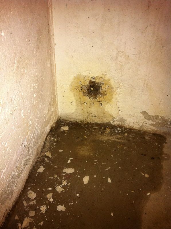 BAU.DE / BAU-Forum: 1. Bild zu Frage "Holz in Kellerwand eingegossen" im BAU-Forum "Keller" BAU.DE / BAU-Forum: 1. Bild zu Frage "Holz in Kellerwand eingegossen" im BAU-Forum "Keller"