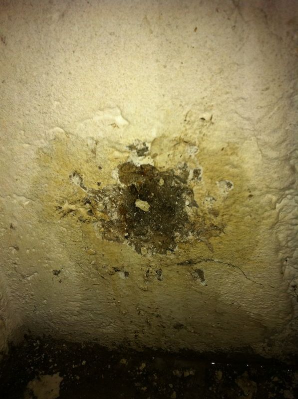 BAU.DE / BAU-Forum: 2. Bild zu Frage "Holz in Kellerwand eingegossen" im BAU-Forum "Keller" BAU.DE / BAU-Forum: 2. Bild zu Frage "Holz in Kellerwand eingegossen" im BAU-Forum "Keller"