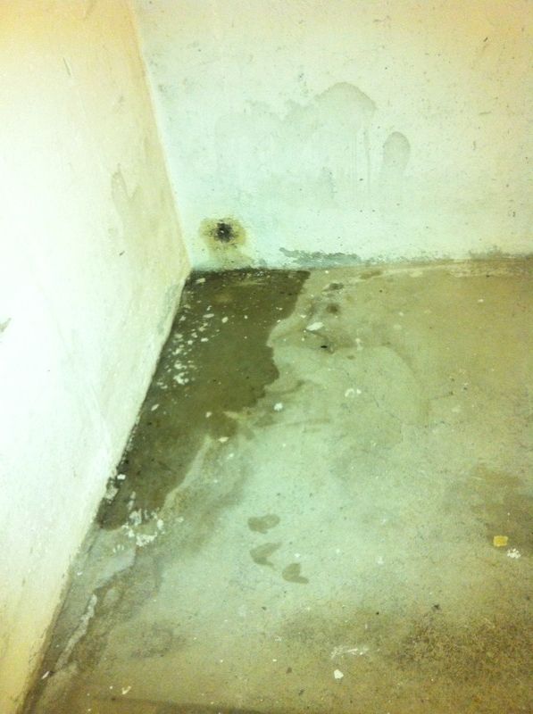 BAU.DE / BAU-Forum: 3. Bild zu Frage "Holz in Kellerwand eingegossen" im BAU-Forum "Keller" BAU.DE / BAU-Forum: 3. Bild zu Frage "Holz in Kellerwand eingegossen" im BAU-Forum "Keller"