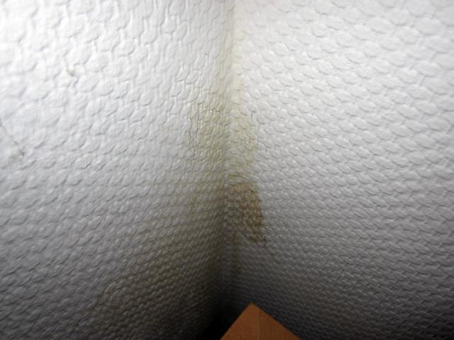 BAU.DE / BAU-Forum: 1. Bild zu Frage "In unserem Reihenmittelhaus haben wir in..." im BAU-Forum "Keller" BAU.DE / BAU-Forum: 1. Bild zu Frage "In unserem Reihenmittelhaus haben wir in..." im BAU-Forum "Keller"