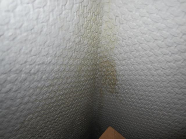 BAU.DE / BAU-Forum: 3. Bild zu Frage "In unserem Reihenmittelhaus haben wir in..." im BAU-Forum "Keller" BAU.DE / BAU-Forum: 3. Bild zu Frage "In unserem Reihenmittelhaus haben wir in..." im BAU-Forum "Keller"