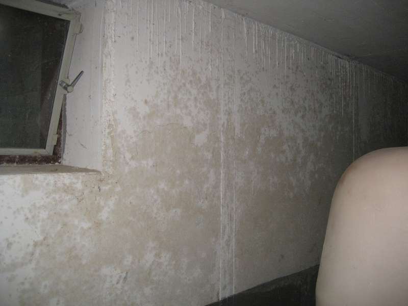 BAU.DE / BAU-Forum: 2. Bild zu Frage "Flecken im &Ouml;ltankraum" im BAU-Forum "Keller"