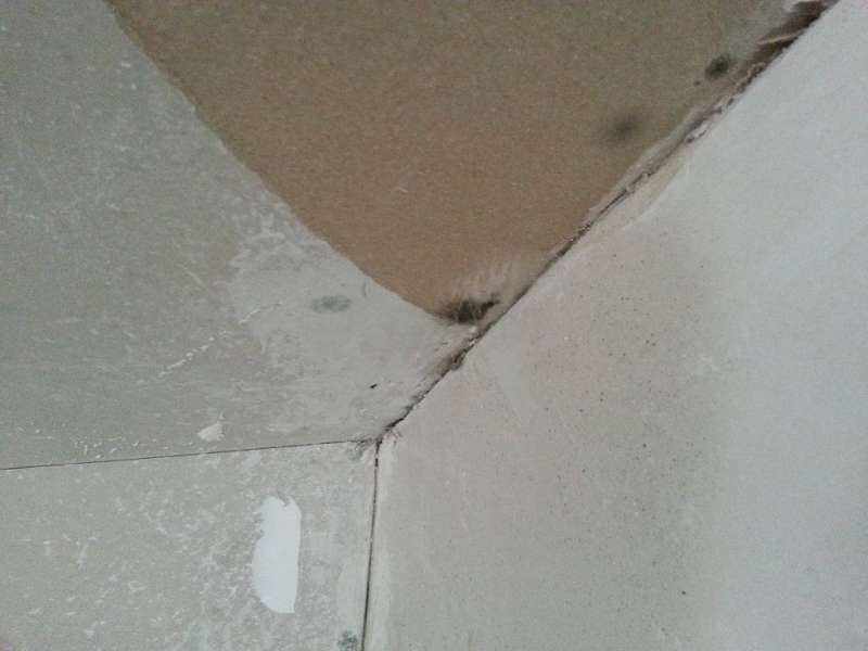 BAU.DE / BAU-Forum: 2. Bild zu Frage "Schimmel Neubauwohnung: Ursachen, Risiken & Sanierung von Rigipsdecken?" im BAU-Forum "Neubau"