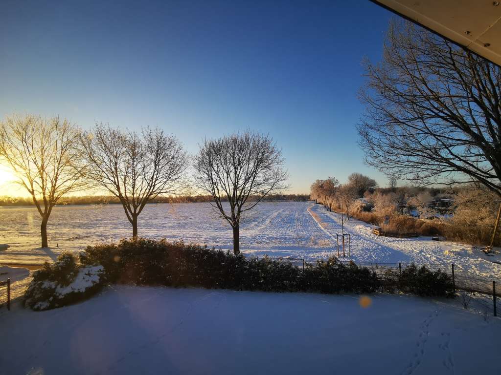 Bild aus Beitrag 15742