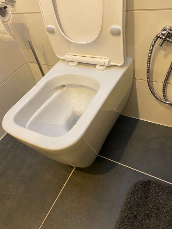 BAU.DE / Forum: 1. Bild zu Frage "spezielle WC-Sitz Befestigung gesucht, bin verzweifelt" im Forum "Sanitär, Bad, Dusche, WC"