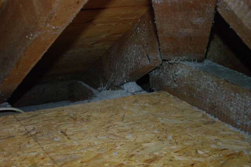 BAU.DE / BAU-Forum: 4. Bild zu Frage "Geschossdeckensanierung: Pfusch erkennen? Aufbau, D&auml;mmung & Gew&auml;hrleistung pr&uuml;fen" im BAU-Forum "Modernisierung / Sanierung / Bausch&auml;den"