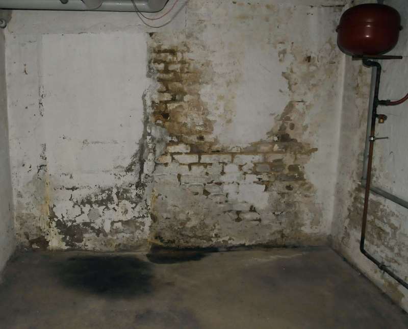 BAU.DE / BAU-Forum: 1. Bild zu Frage "Feuchter Keller vor Hauskauf: Ursachen, Risiken (Schimmel, Hausschwamm) & Sanierungskosten?" im BAU-Forum "Modernisierung / Sanierung / Bausch&auml;den"