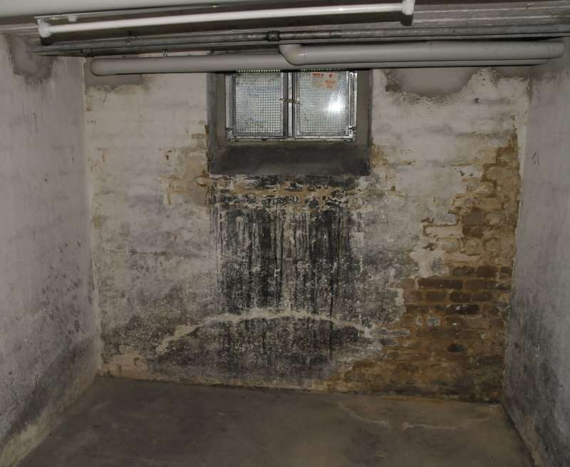 BAU.DE / BAU-Forum: 3. Bild zu Frage "Feuchter Keller vor Hauskauf: Ursachen, Risiken (Schimmel, Hausschwamm) & Sanierungskosten?" im BAU-Forum "Modernisierung / Sanierung / Bausch&auml;den"