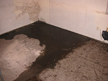 BAU.DE / BAU-Forum: 1. Bild zu Frage "Asbest gefunden? Sanierungskosten, Gefahren & Risiken im Altbau erkennen" im BAU-Forum "Modernisierung / Sanierung / Bausch&auml;den"