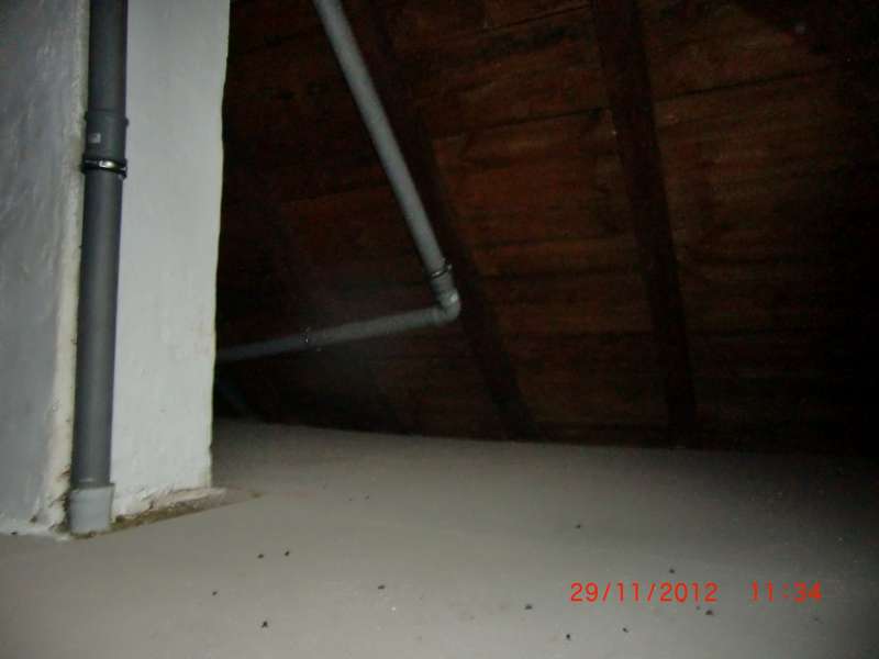 BAU.DE / BAU-Forum: 3. Bild zu Antwort "Holzbalkendecke: Aufbau & Sch&uuml;ttung im Altbau (1926)" auf die Frage "Schalld&auml;mmung im Altbau (1926): L&auml;rmschutz verbessern &ndash; Ma&szlig;nahmen, Kosten & Vergleich" im BAU-Forum "Modernisierung / Sanierung / Bausch&auml;den"