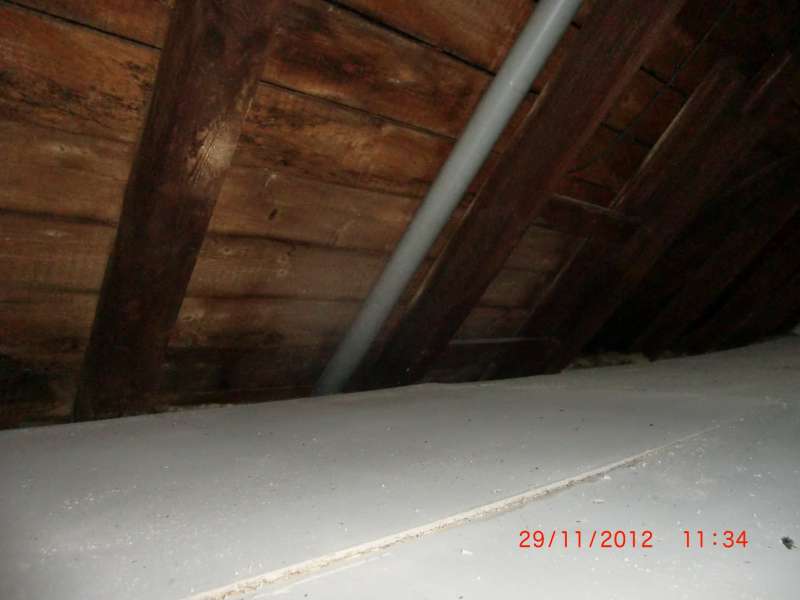 BAU.DE / BAU-Forum: 4. Bild zu Antwort "Holzbalkendecke: Aufbau & Sch&uuml;ttung im Altbau (1926)" auf die Frage "Schalld&auml;mmung im Altbau (1926): L&auml;rmschutz verbessern &ndash; Ma&szlig;nahmen, Kosten & Vergleich" im BAU-Forum "Modernisierung / Sanierung / Bausch&auml;den"