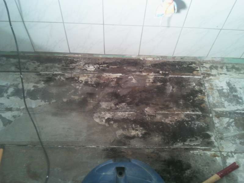 BAU.DE / BAU-Forum: 1. Bild zu Frage "Wasserschaden im Bad: Holzdielen, Schimmel erkennen & beseitigen &ndash; Ursachen, Risiken, Sanierung?" im BAU-Forum "Modernisierung / Sanierung / Bausch&auml;den"