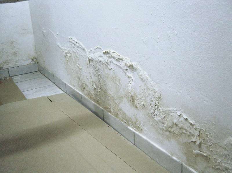 BAU.DE / BAU-Forum: 1. Bild zu Frage "Arglistige T&auml;uschung beim Hauskauf: Bringt eine Putzprobe Klarheit &uuml;ber Feuchtigkeitssch&auml;den?" im BAU-Forum "Modernisierung / Sanierung / Bausch&auml;den"