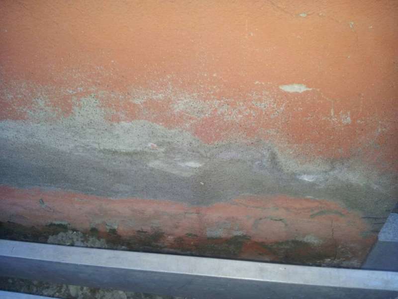 BAU.DE / BAU-Forum: 2. Bild zu Frage "Sockelputz ausbessern: Anleitung, Material & Kosten f&uuml;r die Reparatur?" im BAU-Forum "Modernisierung / Sanierung / Bausch&auml;den"