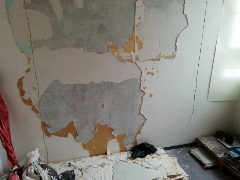 Bild zum BAU-Forumsbeitrag: Asbest unter Tapete gefunden im Forum Modernisierung / Sanierung / Bauschäden