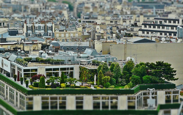 Urban Gardening - Nutzung von Dachgärten, begrünten Fassaden und Innenhöfen