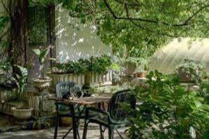 Ein grüner Garten zur Entspannung - Robin Wersich auf Unsplash