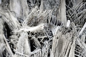 Asbest in Berliner Altbauten erkennen und fachgerecht entsorgen lassen - Bild: Jonas Allert / Unsplash Asbest in Berliner Altbauten erkennen und fachgerecht entsorgen lassen - Bild: Jonas Allert / Unsplash