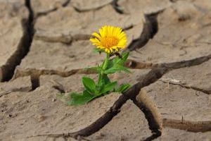 Erwärmung bezeichnet den Vorgang, bei dem die Temperatur eines Körpers, Mediums oder einer Umgebung ansteigt, indem Wärmeenergie hinzugeführt wird.