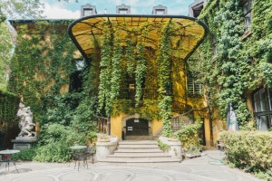 Grüne Fassaden gestalten: Verwandeln Sie Ihre Hauswand in eine blühende Oase - Bild: Nick Night / Unsplash Grüne Fassaden gestalten: Verwandeln Sie Ihre Hauswand in eine blühende Oase - Bild: Nick Night / Unsplash