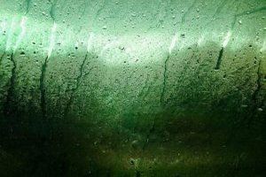 Ein Feuchtigkeitsschaden bezeichnet die Schäden an Gebäuden oder Bauteilen, die durch das Eindringen von Wasser oder erhöhter Feuchtigkeit entstehen.