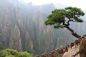 Die Natur bezieht sich auf die natürliche Welt, die Umwelt und die Gesamtheit aller lebenden Organismen, Pflanzen, Tiere und natürlichen Ressourcen.