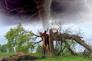 Naturgewalten sind beeindruckende und oft zerstörerische Naturphänomene, die auf natürlichen Prozessen und Kräften der Erde beruhen. Naturgewalten sind beeindruckende und oft zerstörerische Naturphänomene, die auf natürlichen Prozessen und Kräften der Erde beruhen.