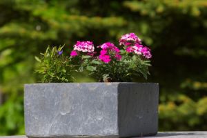 Warum Pflanzkübel aus Fieberglas die perfekte Wahl für Ihren Garten sind - Bild: 