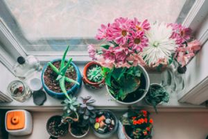 Ein Ziertopf ist ein dekorativer Blumentopf oder Pflanzbehälter, der zur Verschönerung von Innen- oder Außenräumen verwendet wird.