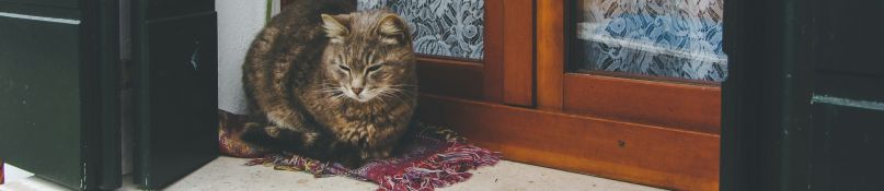 Fensterbank-Konfigurator