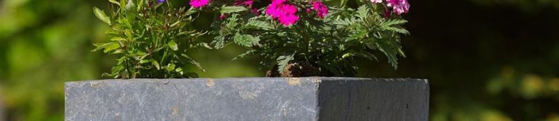 Warum Pflanzkübel aus Fieberglas die perfekte Wahl für Ihren Garten sind