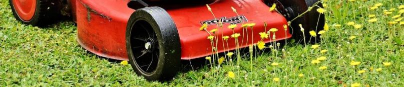 Rasenpflege