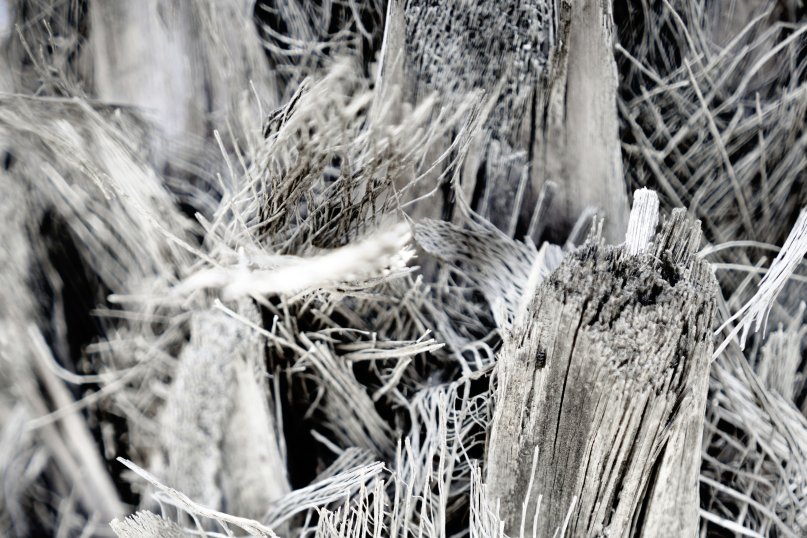 Eine Asbestfaser ist eine extrem feine, mineralische Faser, die aus nat&uuml;rlich vorkommenden silikatischen Mineralien besteht.