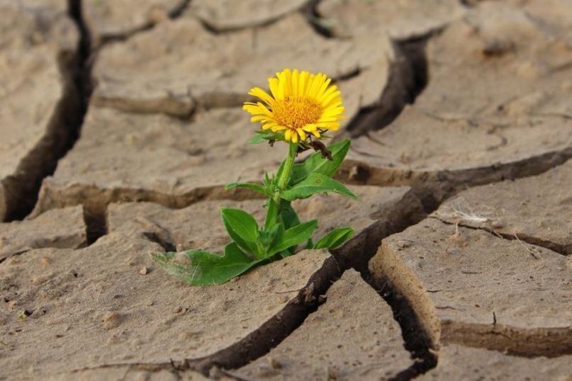 Erwärmung bezeichnet den Vorgang, bei dem die Temperatur eines Körpers, Mediums oder einer Umgebung ansteigt, indem Wärmeenergie hinzugeführt wird. Erwärmung bezeichnet den Vorgang, bei dem die Temperatur eines Körpers, Mediums oder einer Umgebung ansteigt, indem Wärmeenergie hinzugeführt wird.
