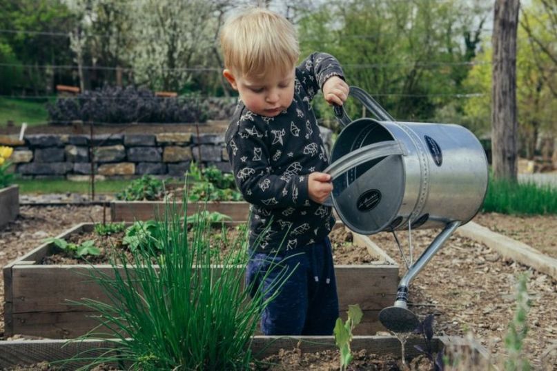 Gardening bezeichnet die Praxis des Anbaus und der Pflege von Pflanzen, sei es in einem Garten, auf einem Balkon, auf einem Feld oder in einem Gewächshaus.