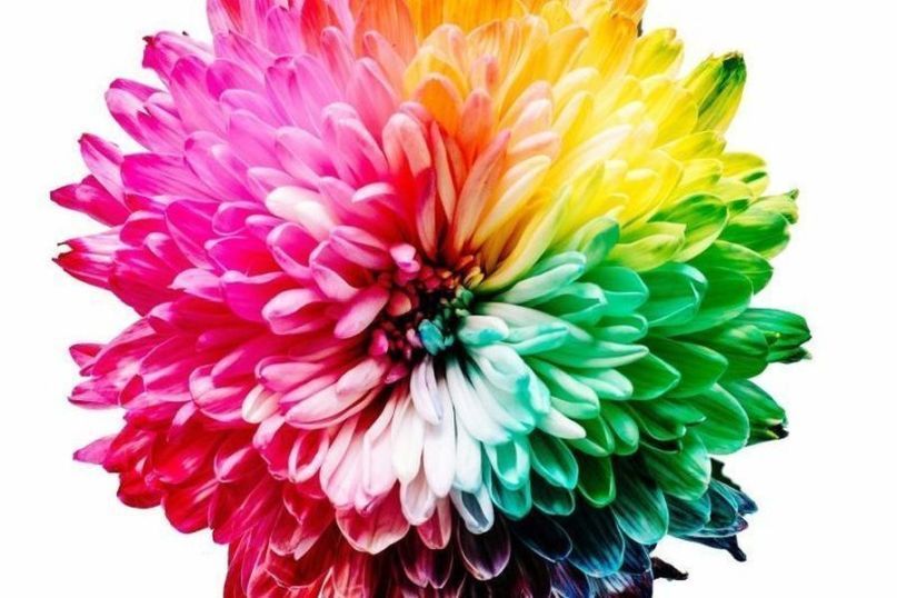 Kalkfarbe ist eine Farbe, die auf der Basis von Kalk hergestellt wird.