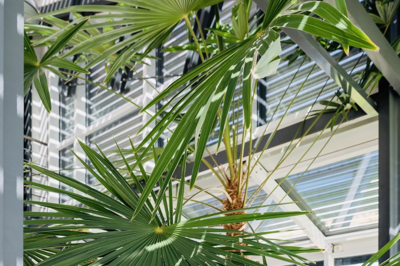 Für Glasdächer eignen sich insbesondere außenliegende Rollladen, die verhindern, dass sich eine warme Luftschicht hinter der Verglasung bildet